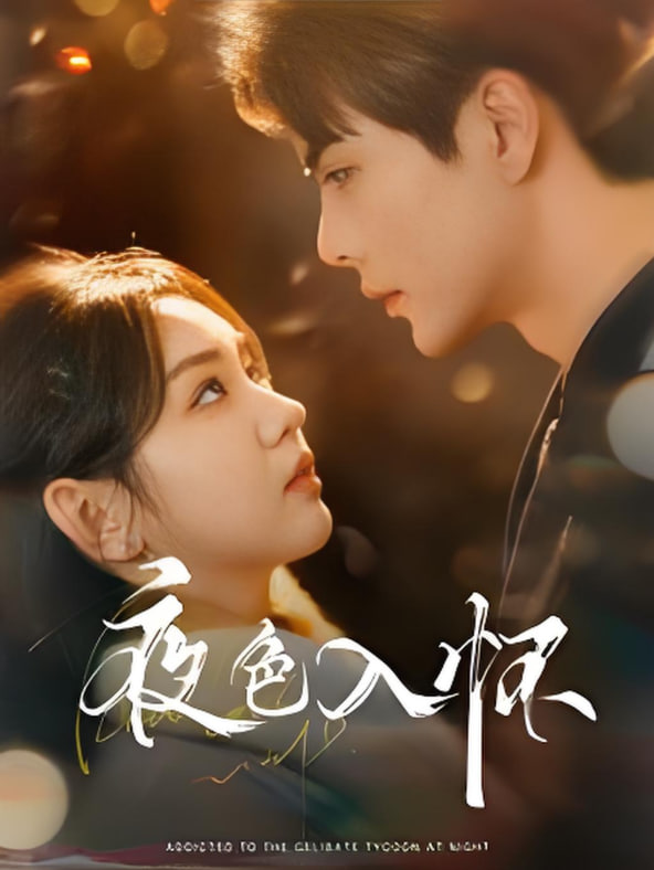 夜色入怀第01集