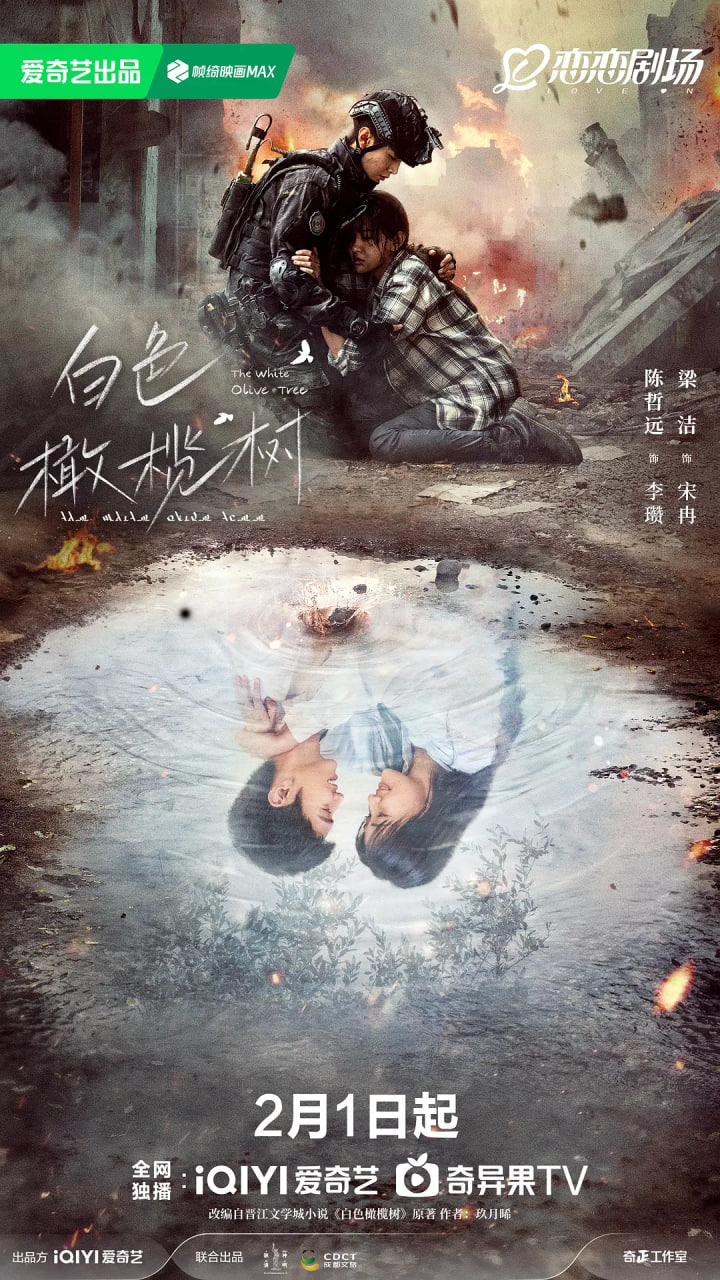 白色橄榄树第08集