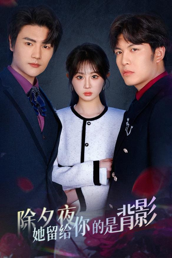 除夕夜她留给你的是背影第12集