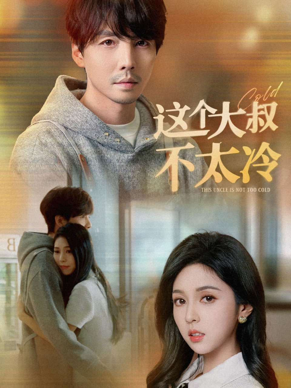 这个大叔不太冷第13集