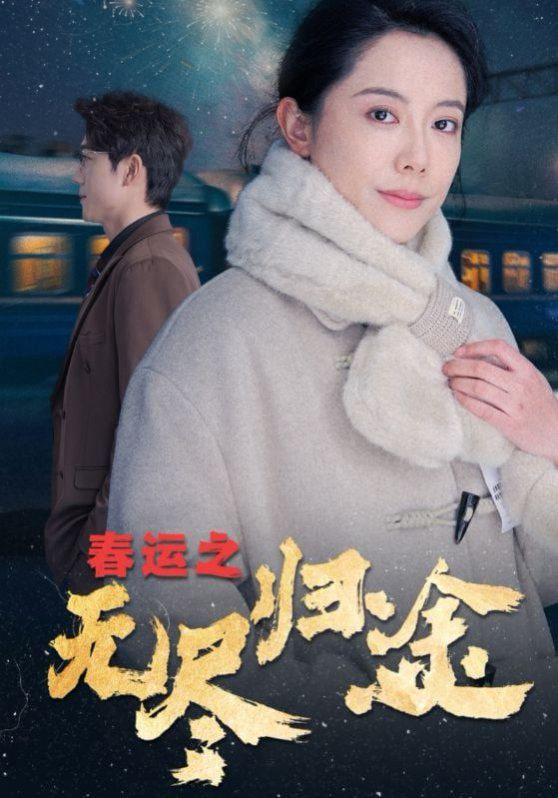 春运之无尽归途第01集