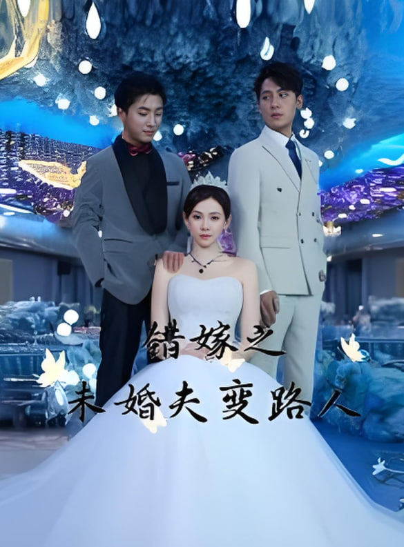 错嫁之未婚夫变路人第01-20集
