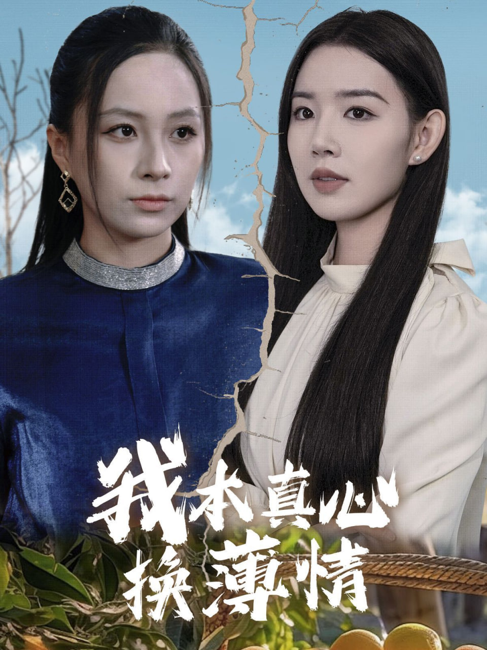 我本真心换薄情第16集