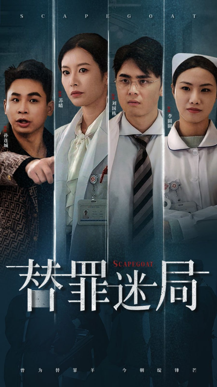 替罪迷局第04集