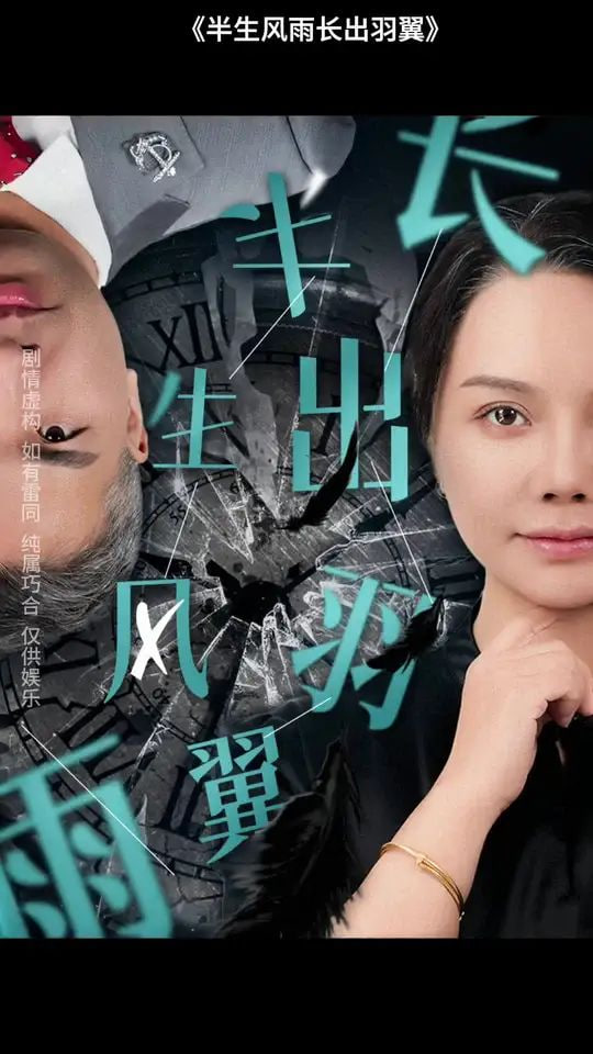 半生风雨长出羽翼第01集