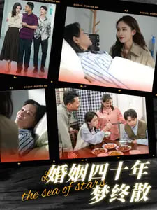 婚姻四十年梦终散第06集