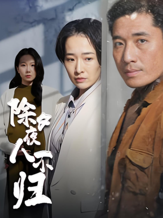 除夕夜人不归第43集