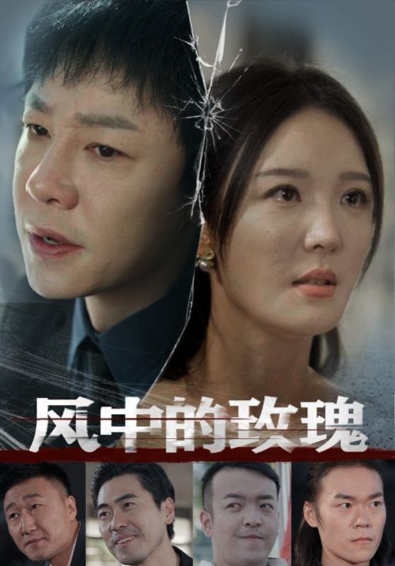 风中的玫瑰第12集