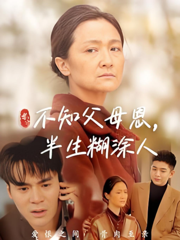 不知父母恩，半生糊涂人第13集