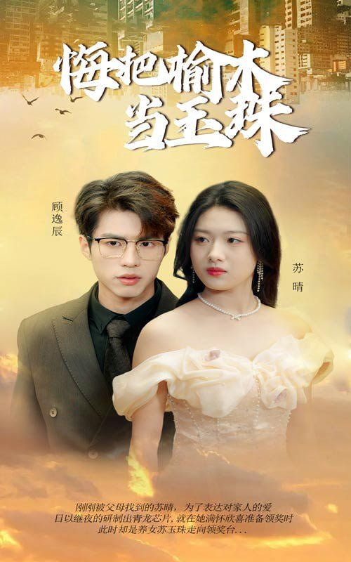 悔把榆木当玉珠第03集