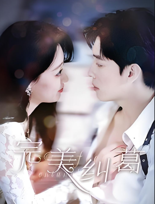 完美纠葛第01集