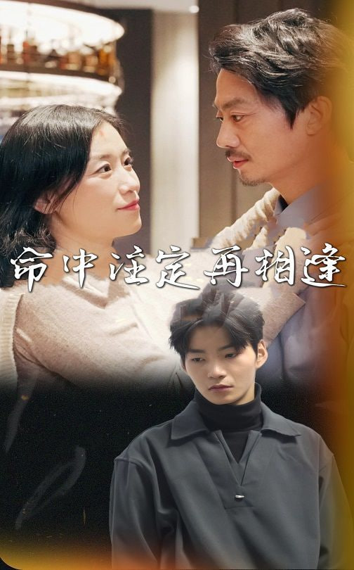 命中注定再相逢第09集