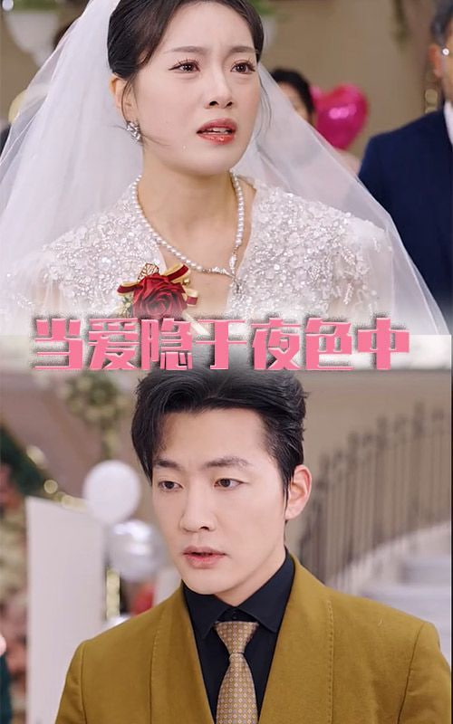 当爱隐于夜色中第23集