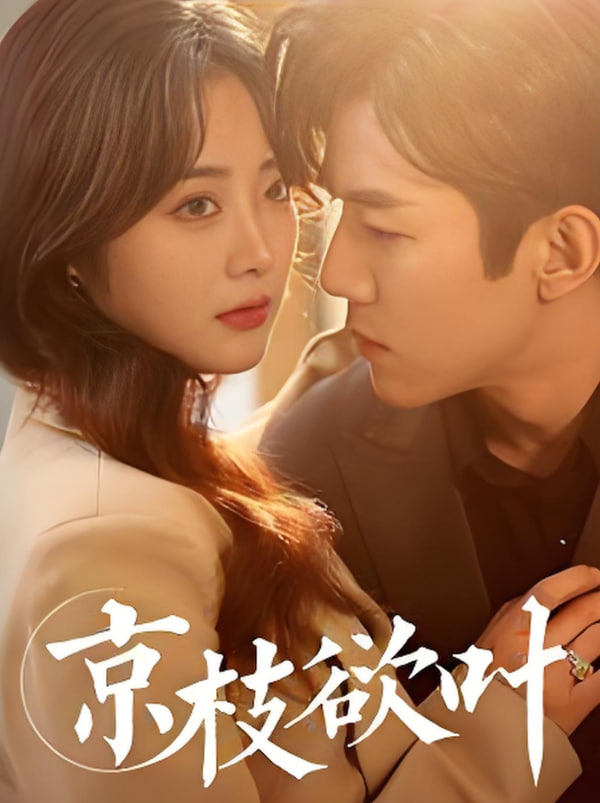 京枝欲叶第38集