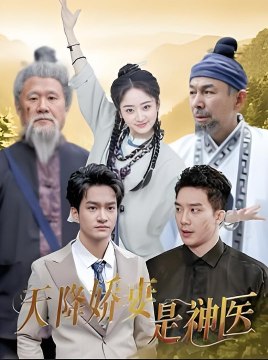 天降娇妻是神医第01集