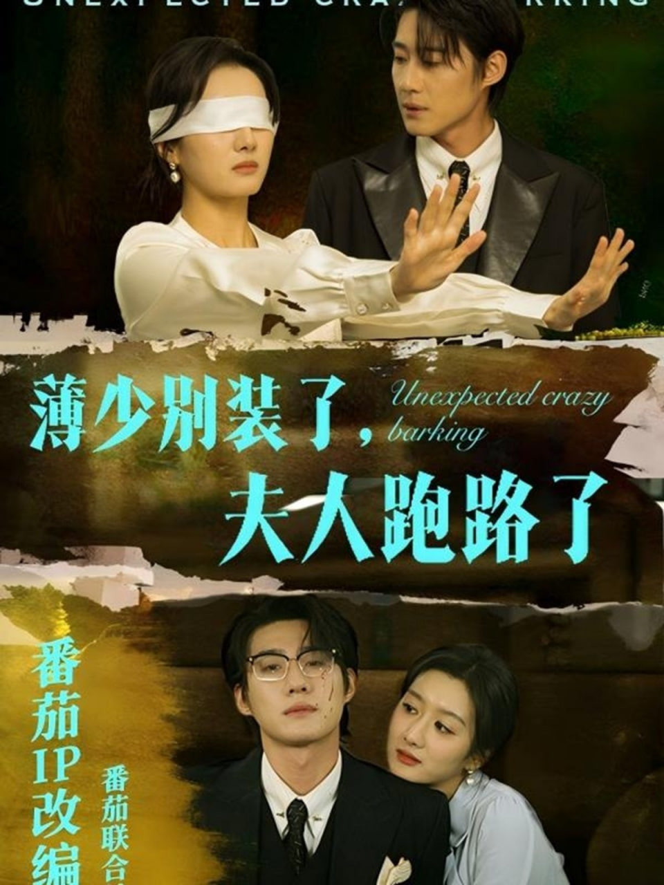 薄少别装了夫人跑路了第21集