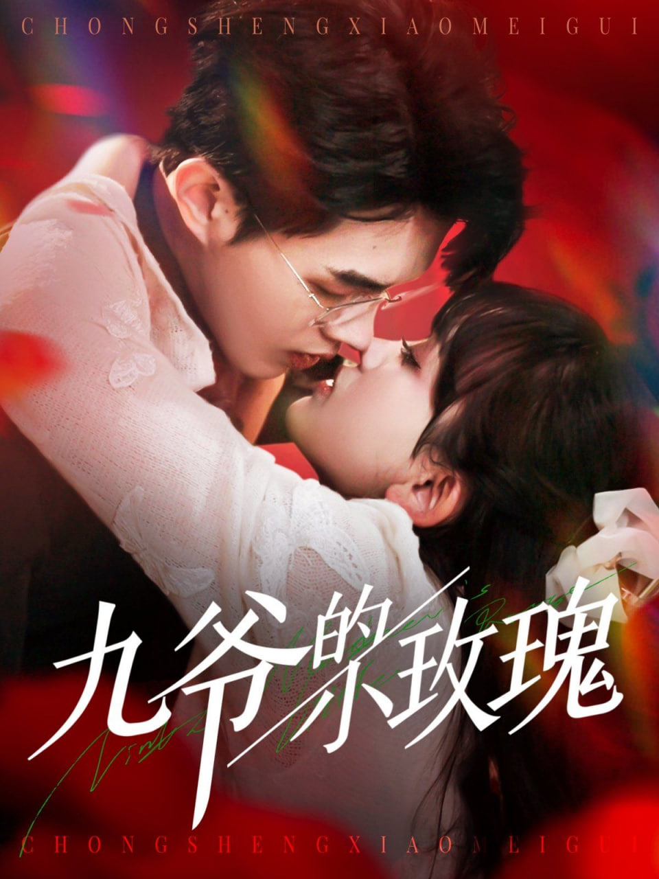 九爷的小玫瑰第95集