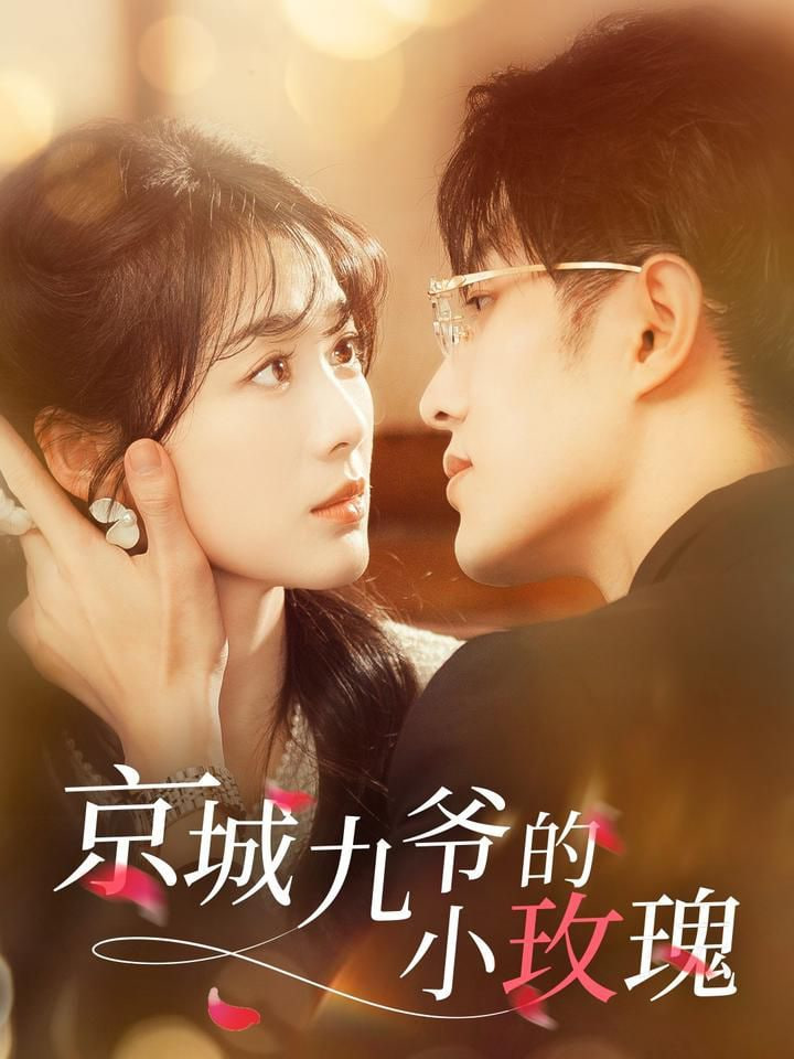 京城九爷的小玫瑰第03集