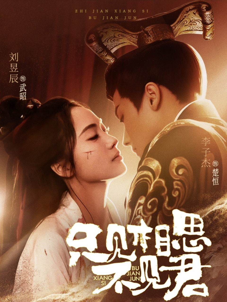 只见相思不见君第51集