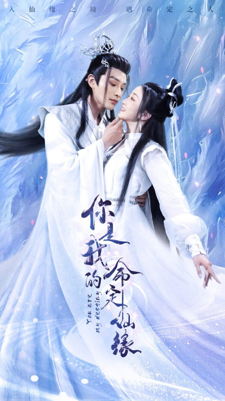 你是我的命定仙缘第36集