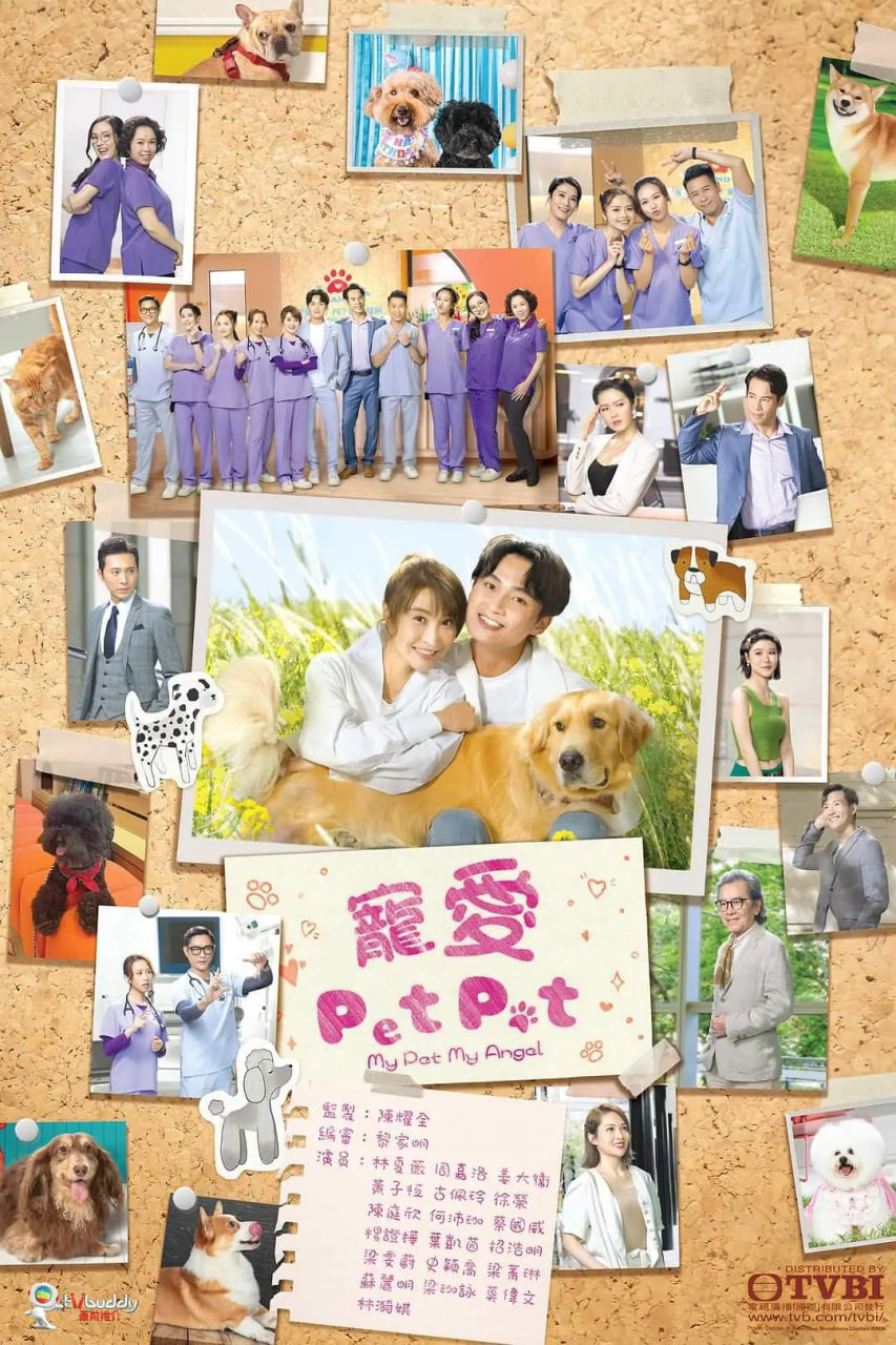 宠爱Pet Pet第15集