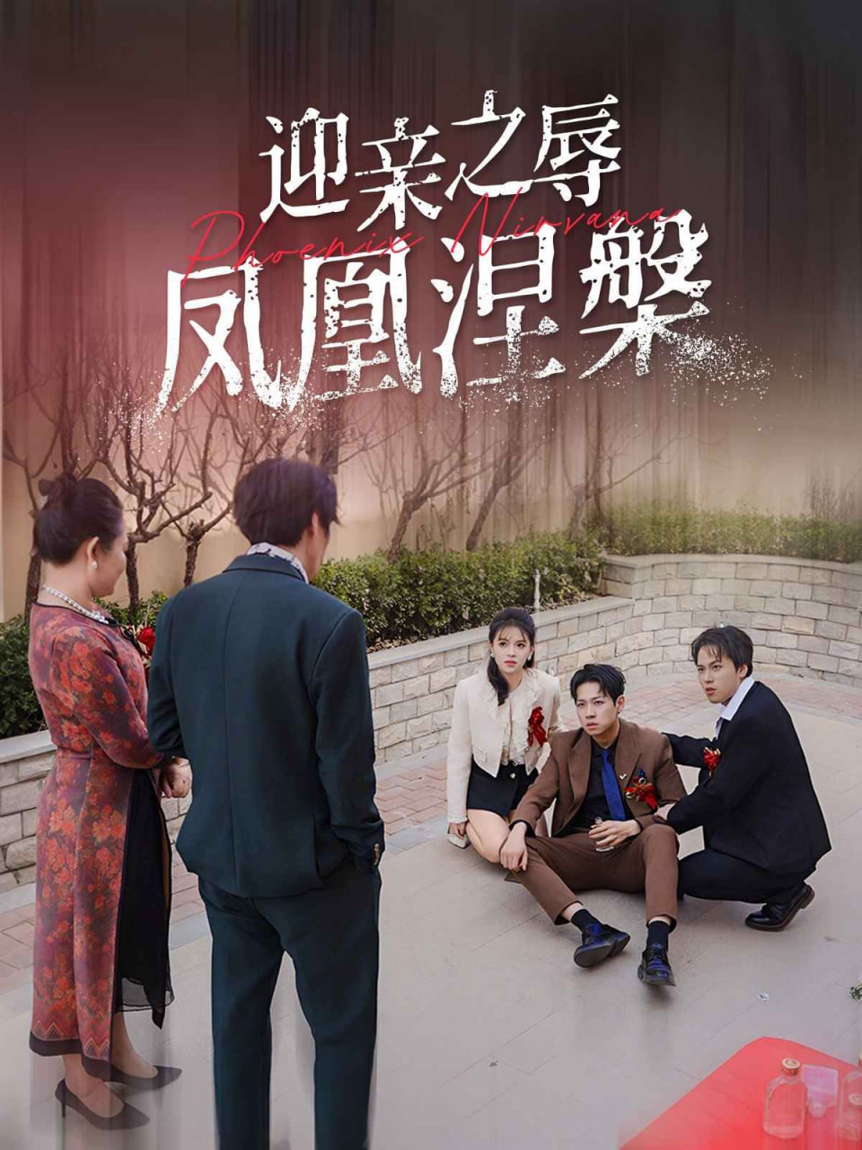 迎亲之辱凤凰涅槃第23集