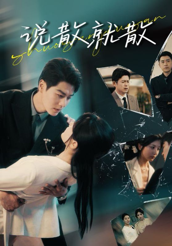 说散就散第17集