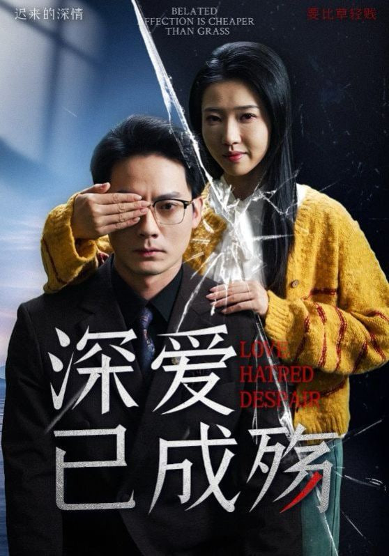 深爱已成殇第20集