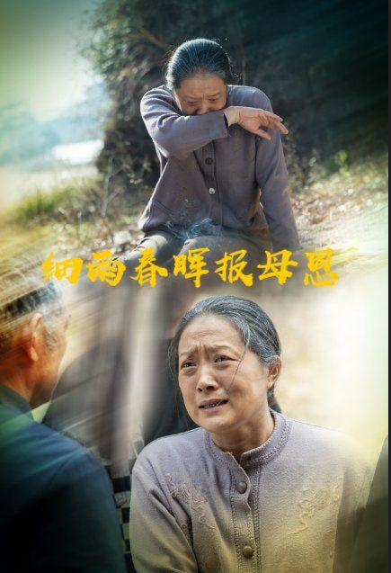 细雨春晖报母恩第09集