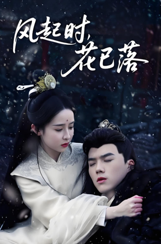 风起时，花已落第30集