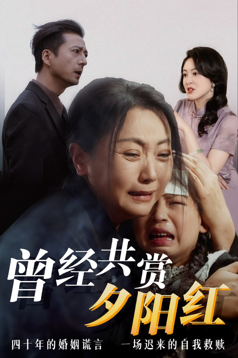 曾经共赏夕阳红第51集