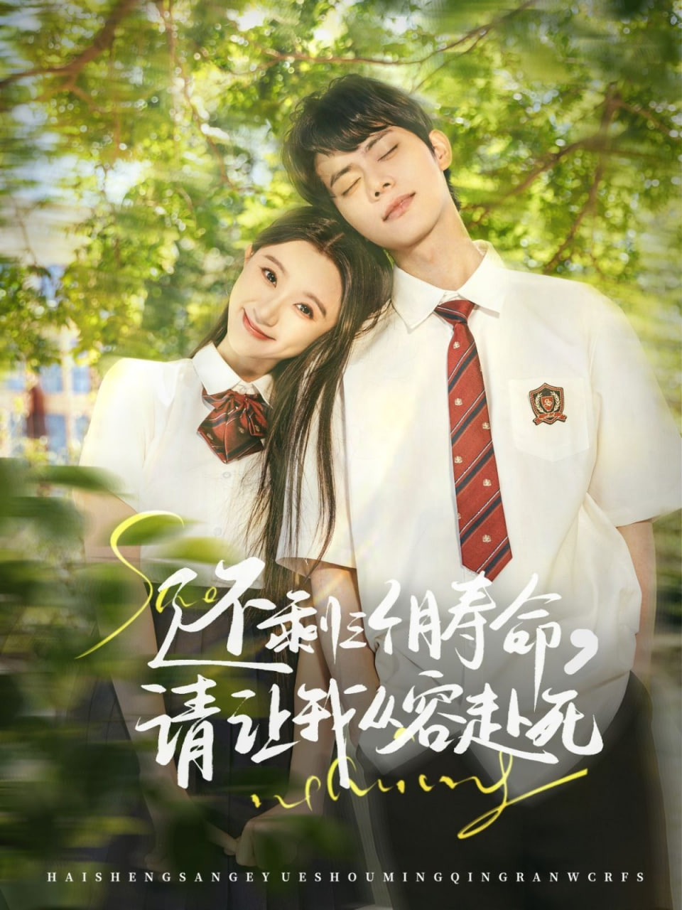 还剩三个月寿命，请让我从容赴死第63集