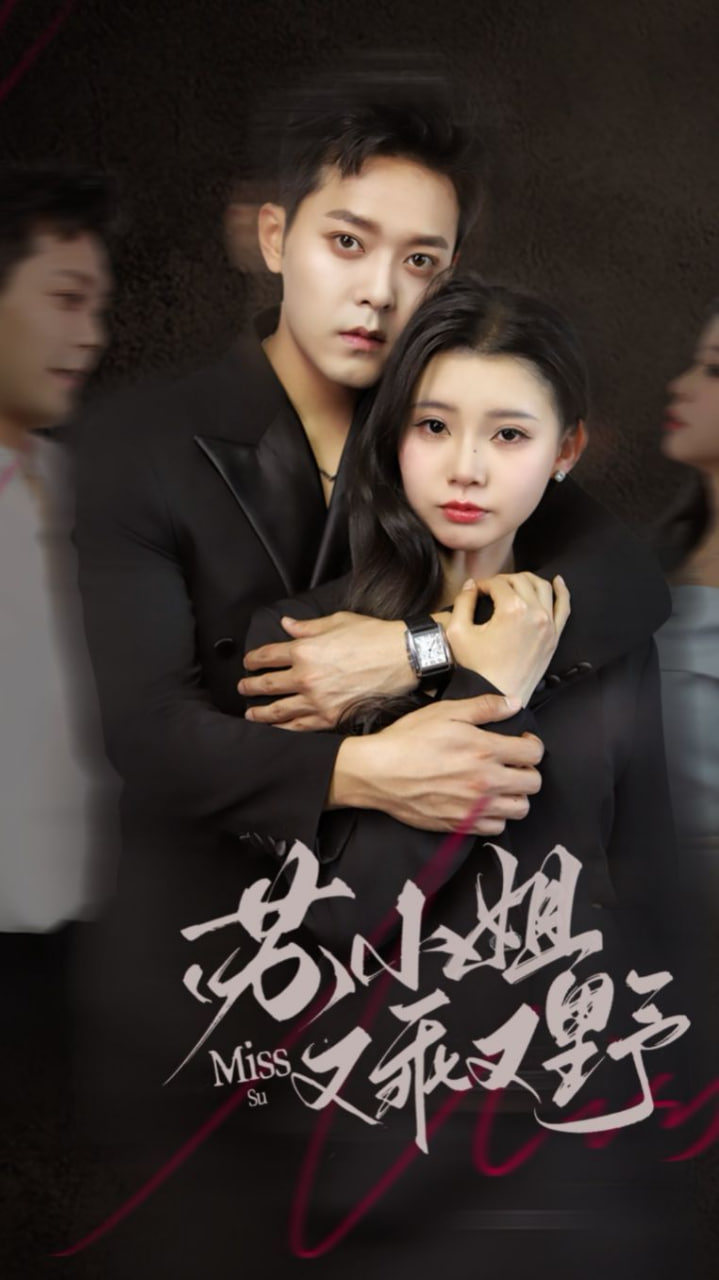 苏小姐又乖又野第13集