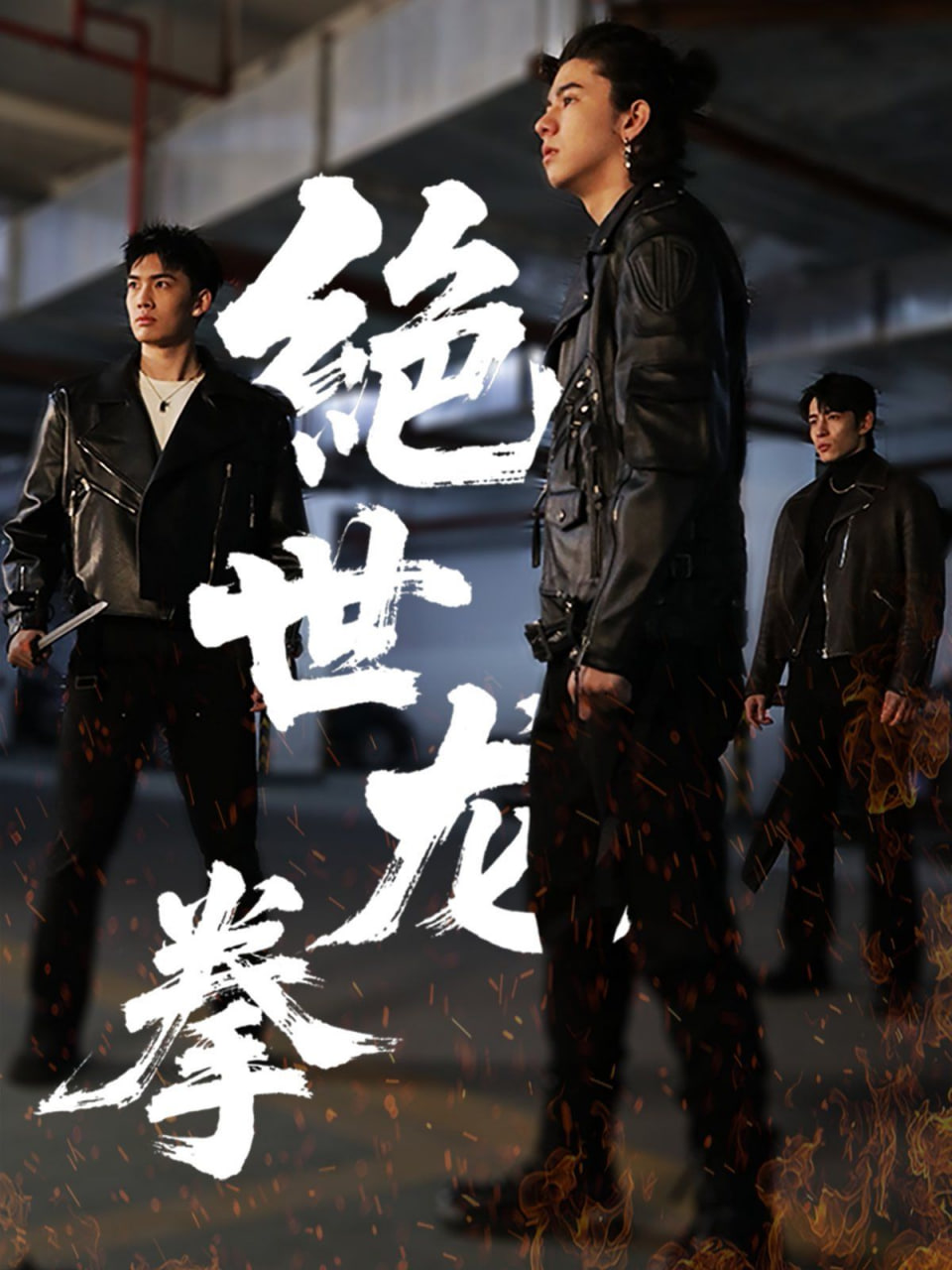 绝世龙拳第14集