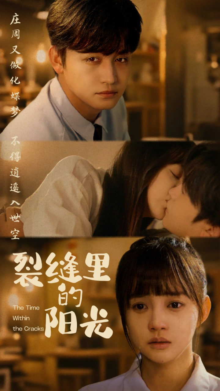 裂缝里的阳光第73集