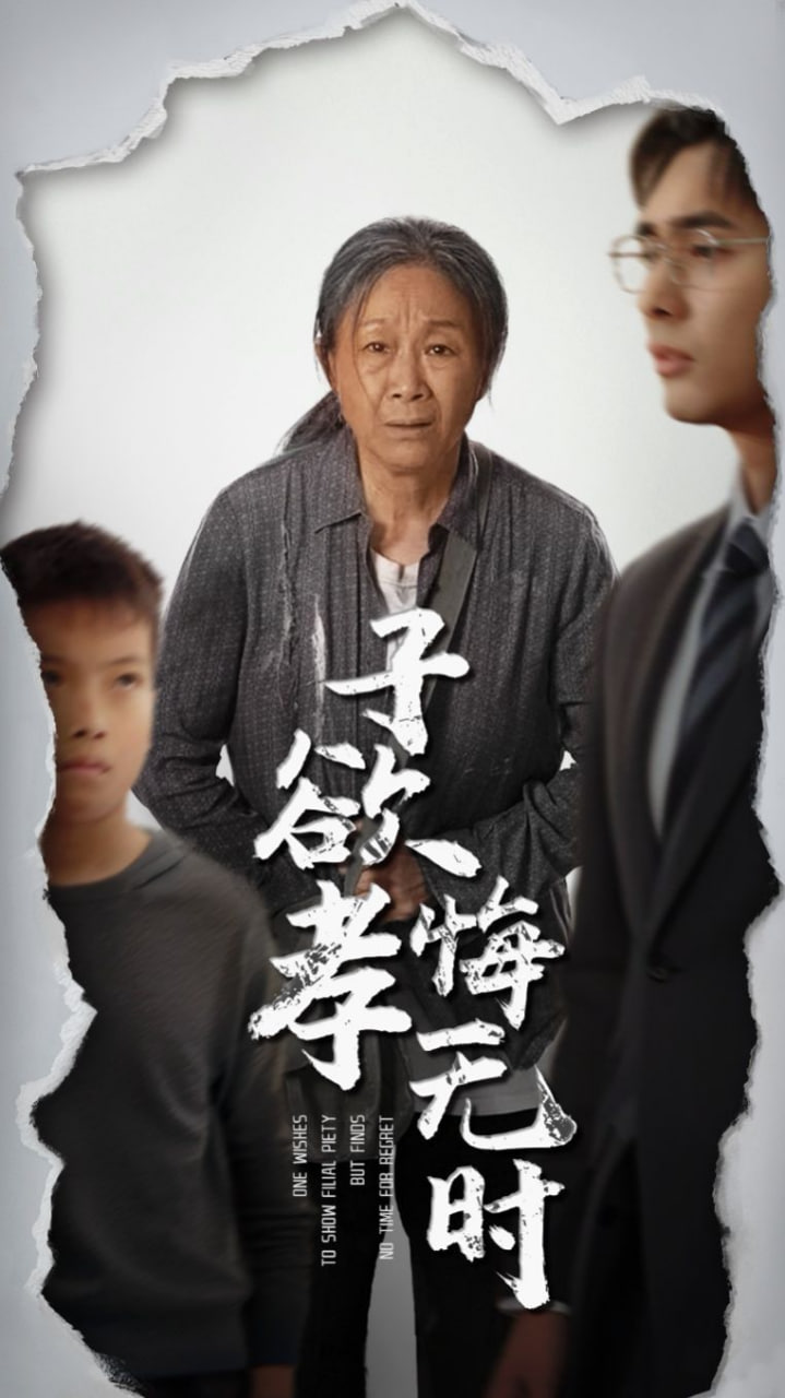 子欲孝悔无时第12集