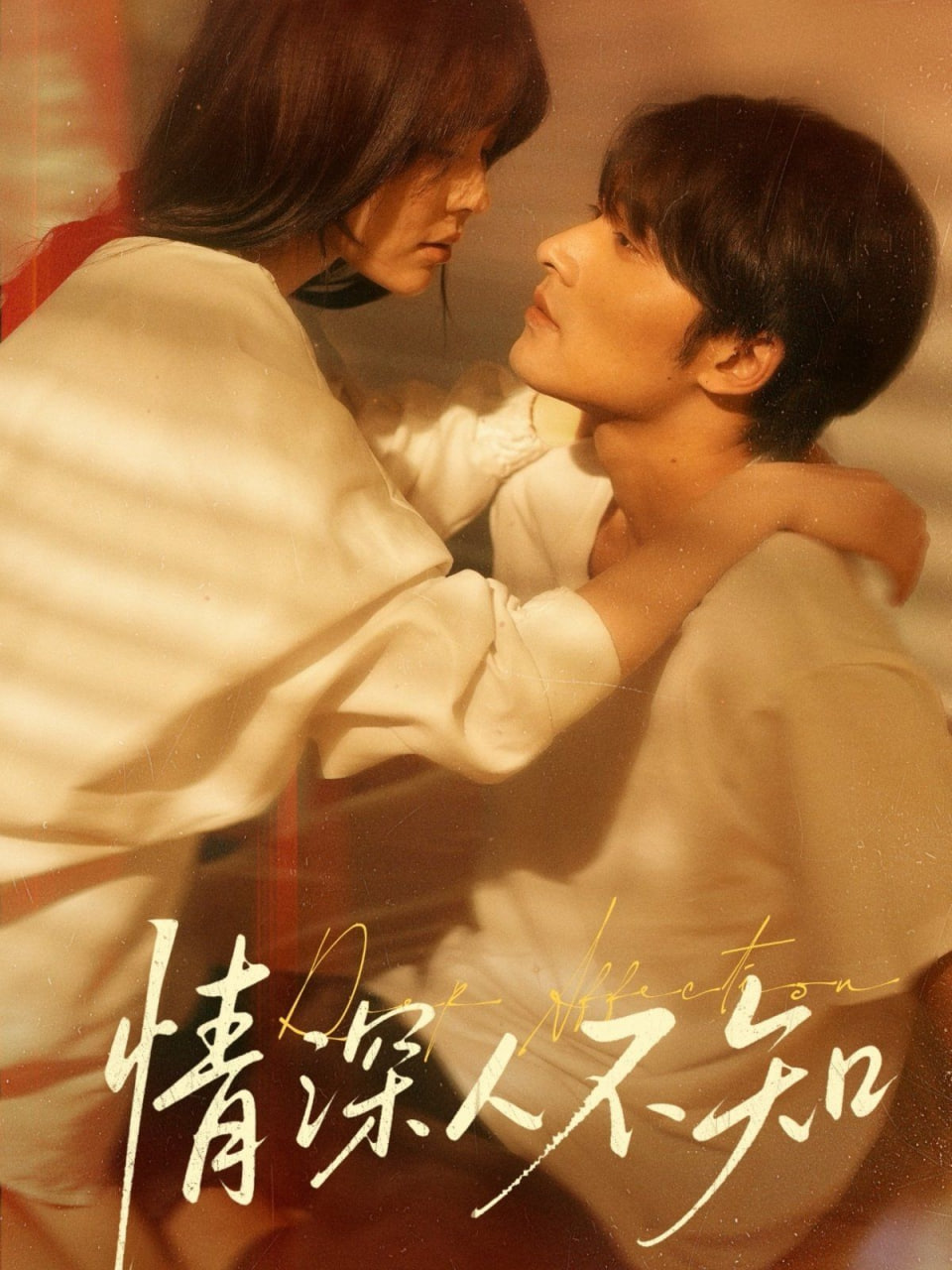 情深人不知第06集