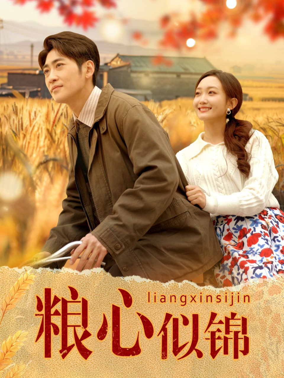 粮心似锦第73集
