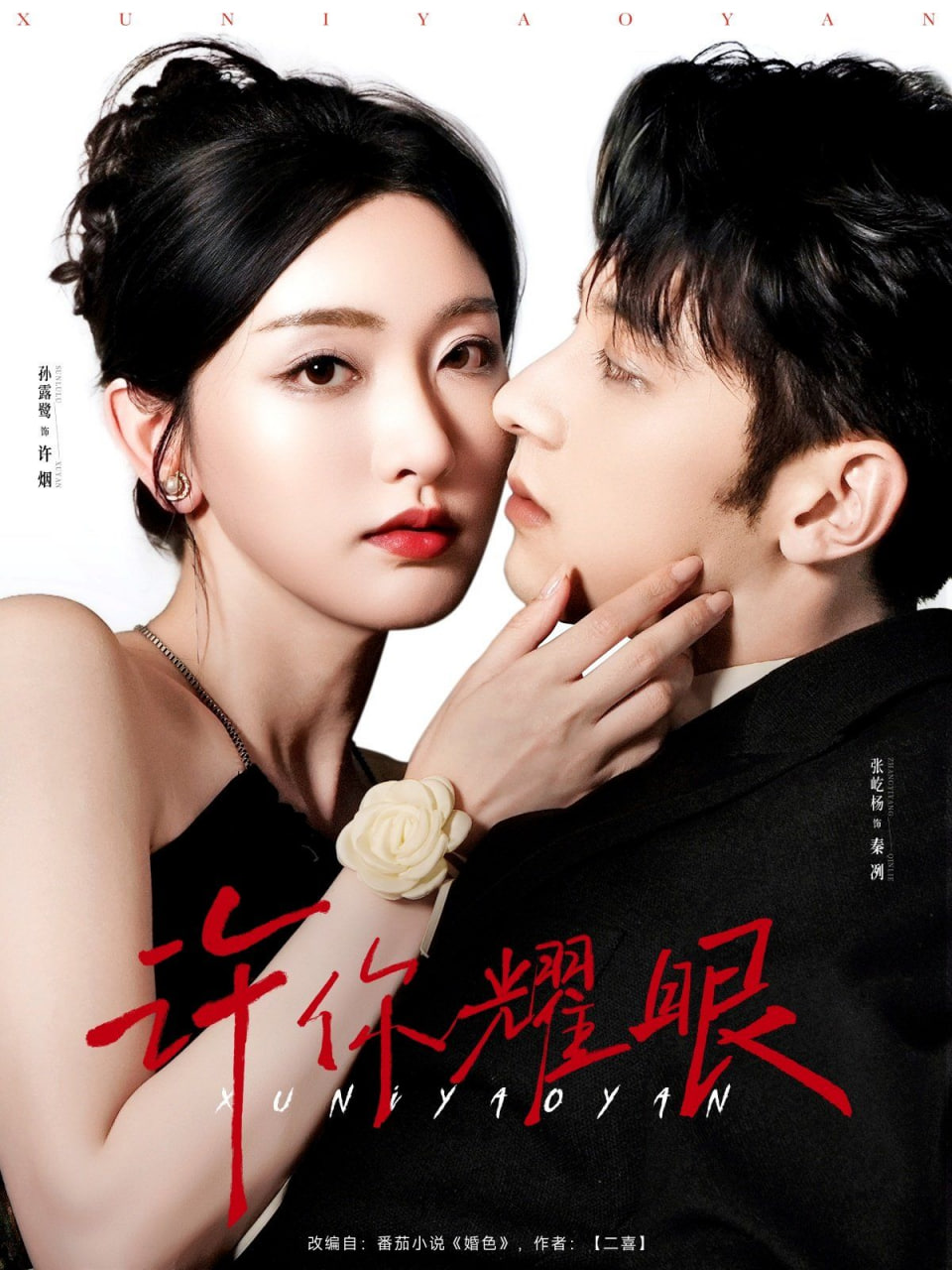 许你耀眼第31集