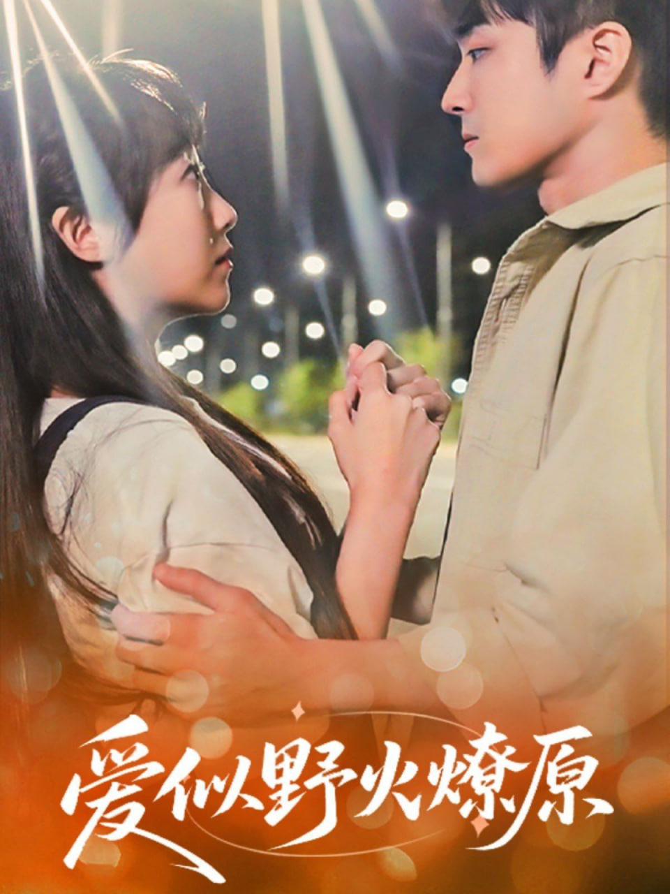 爱似野火燎原第02集