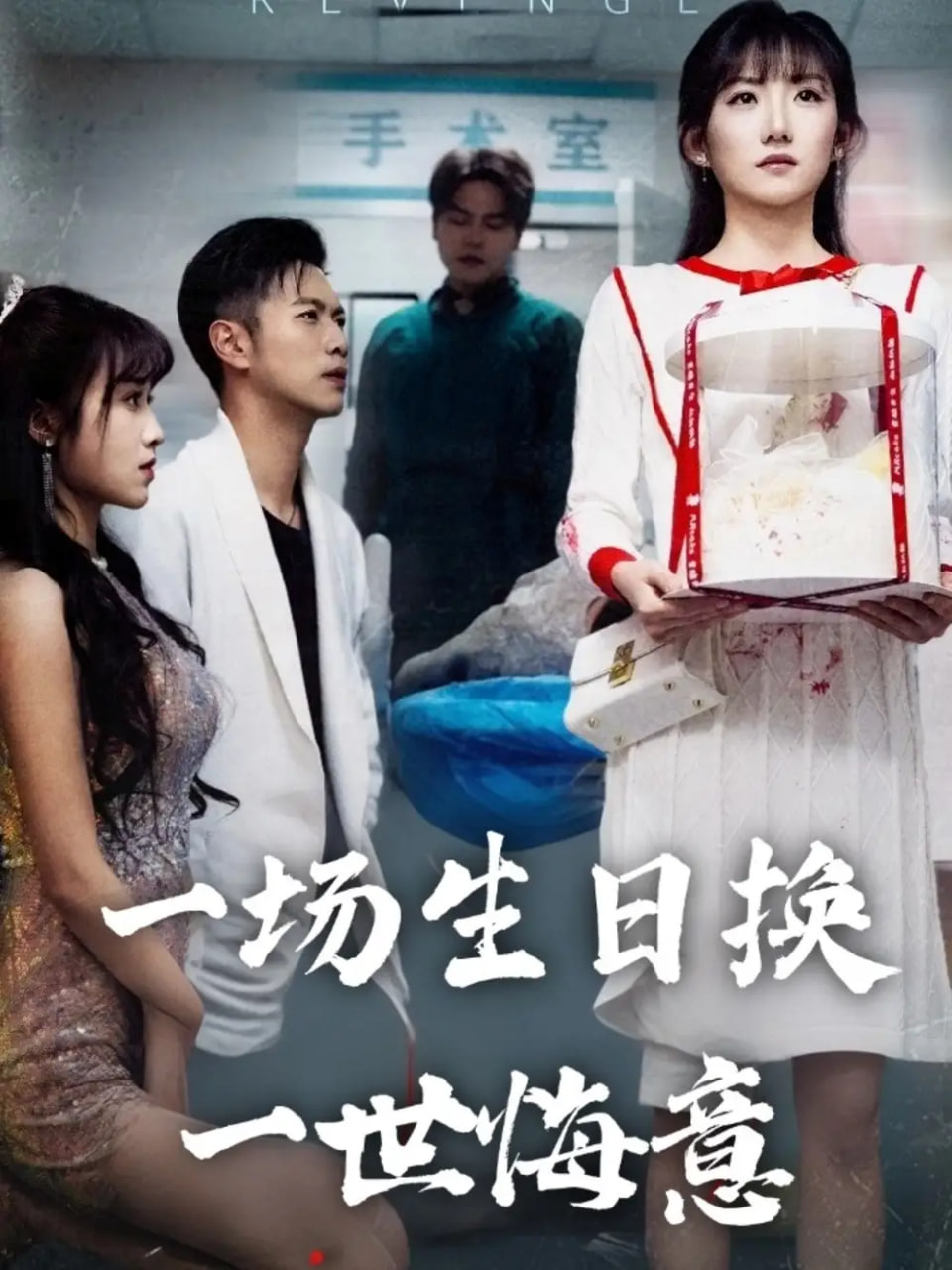 一场生日换一世悔意第13集