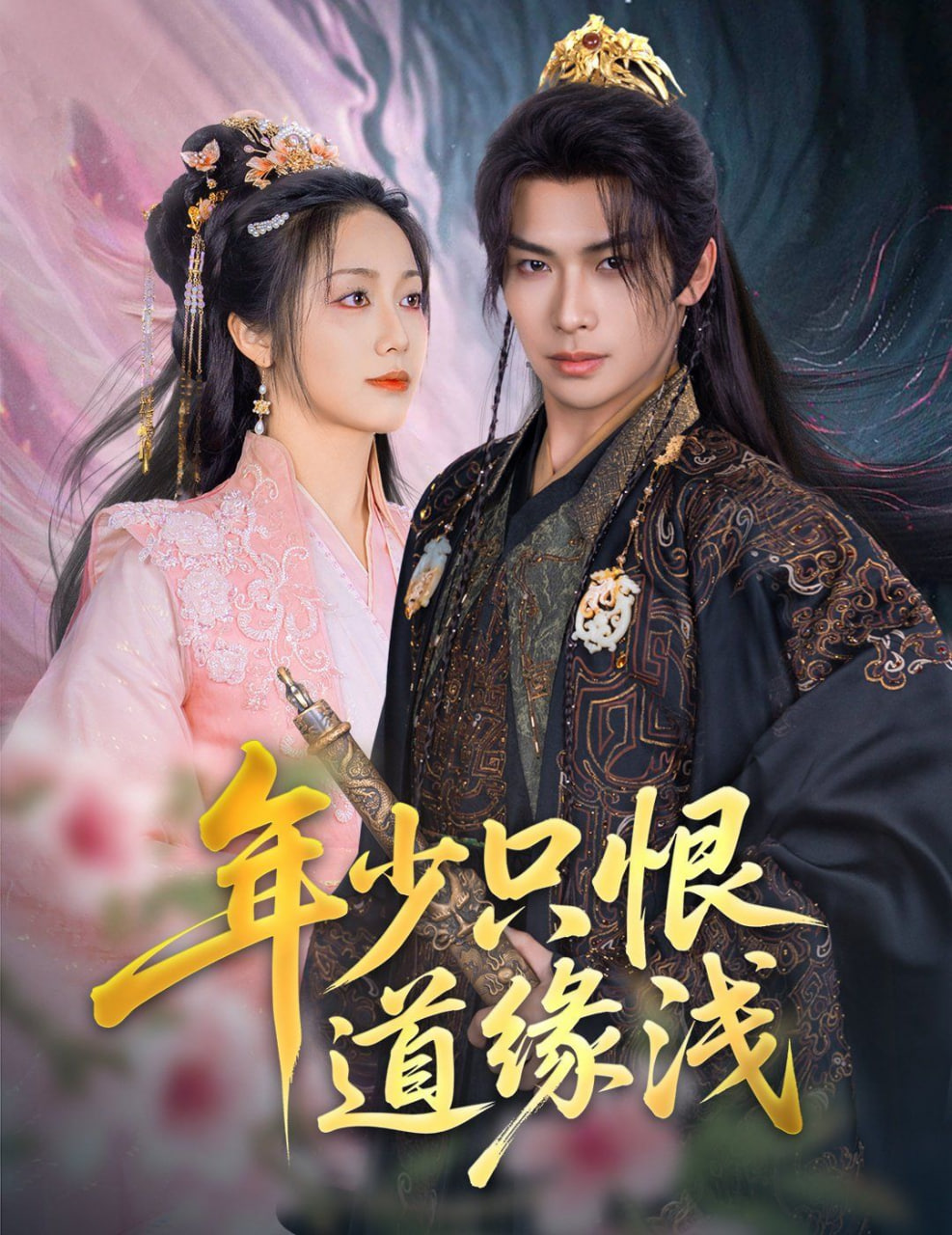 年少只恨道缘浅第26集