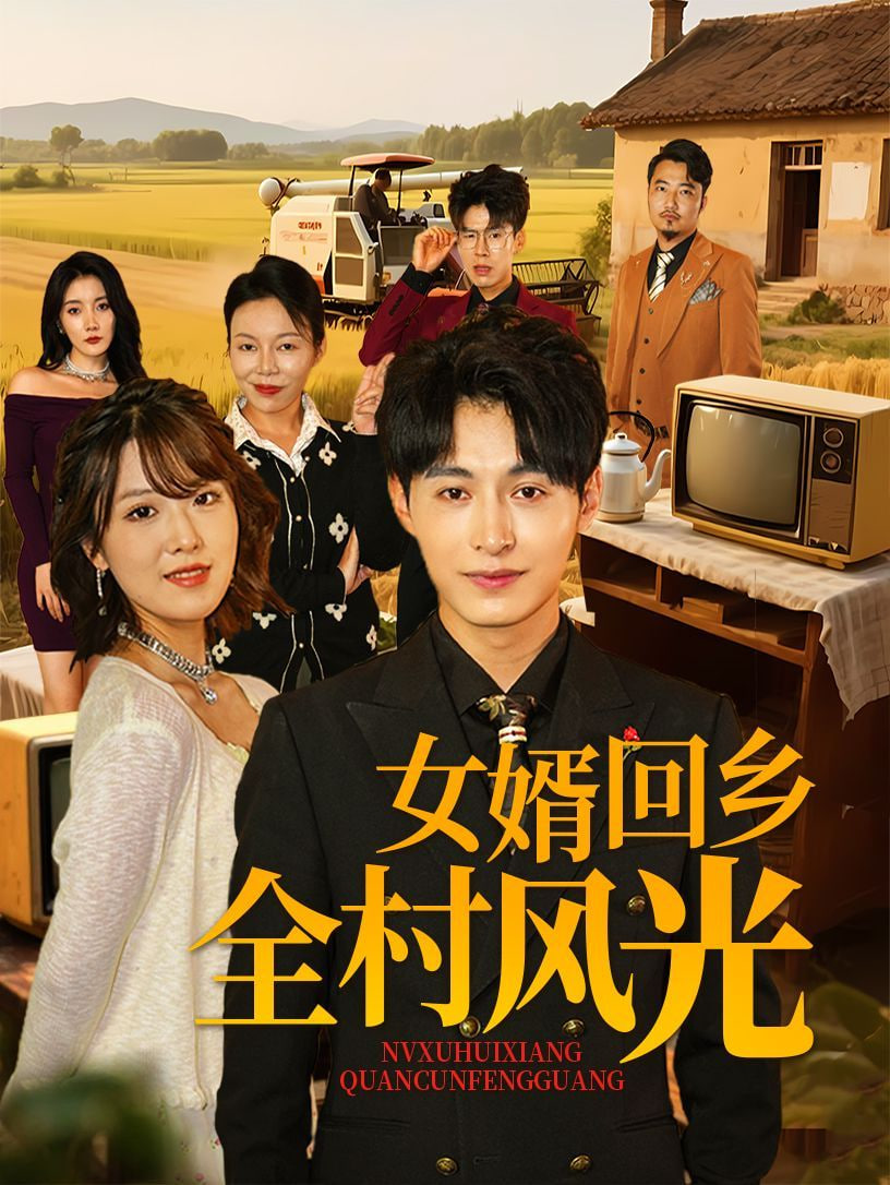 女婿回乡全村风光第23集