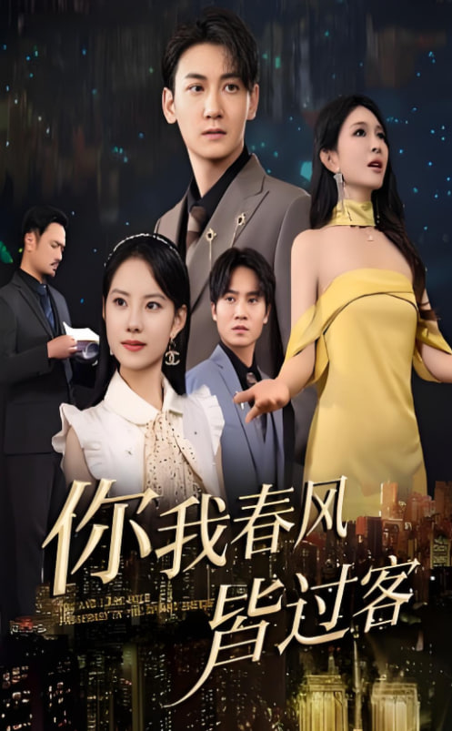 你我春风皆过客第21集