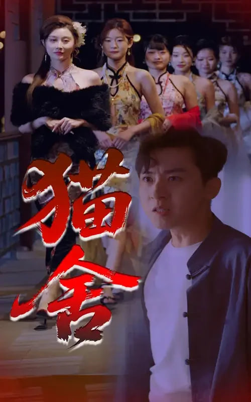 猫舍第34集(大结局)