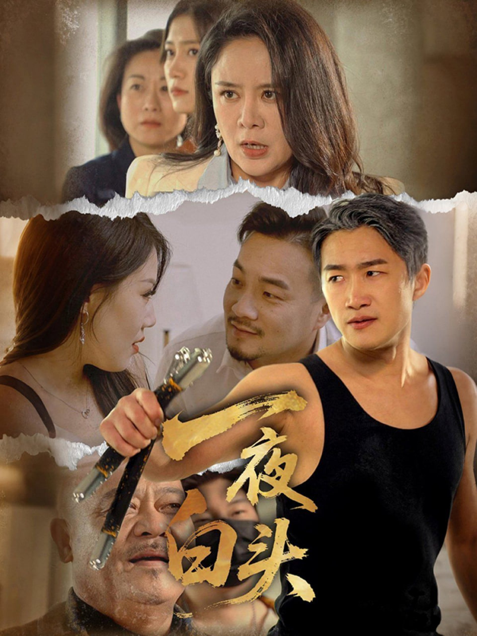 一夜白头第14集