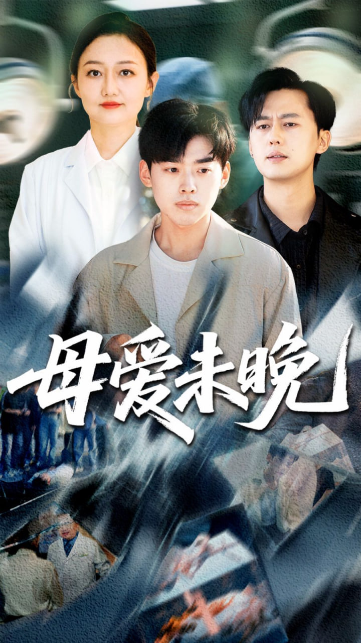 母爱未晚第04集