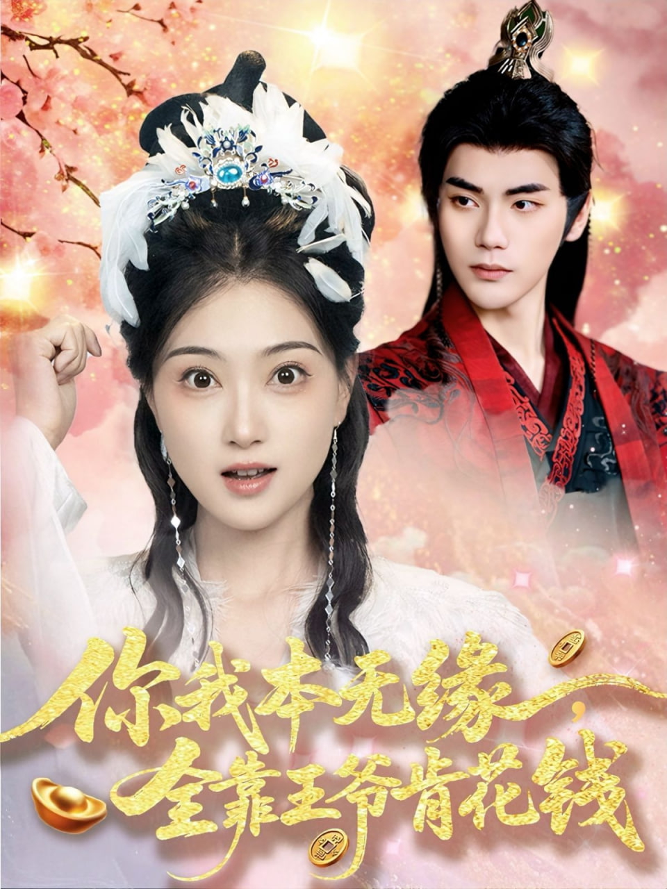 你我本无缘全靠王爷肯花钱第01集