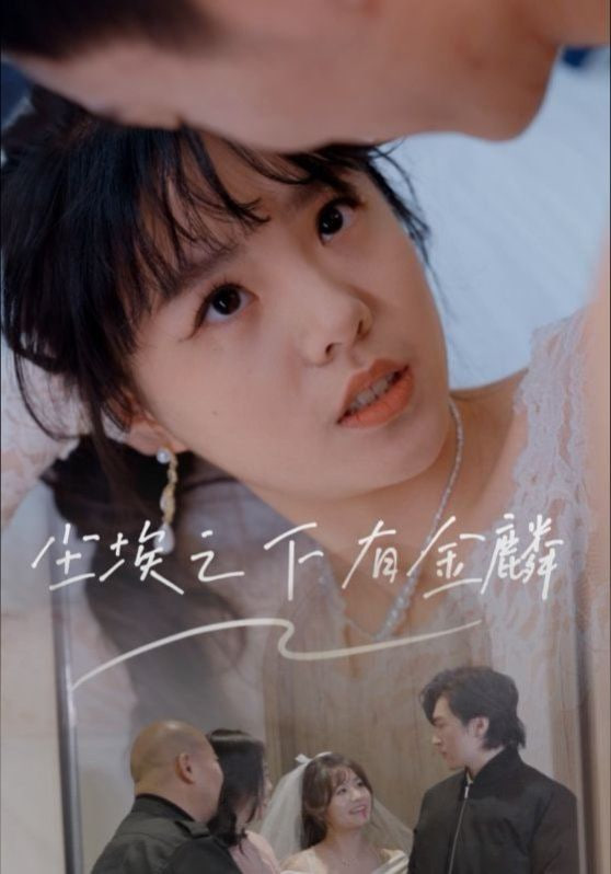 尘埃之下有金鳞第16集