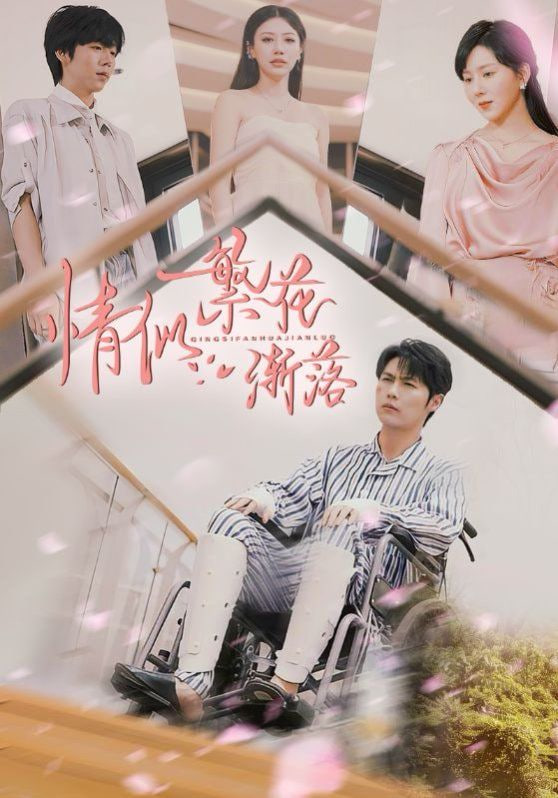 情似繁花渐落第31集